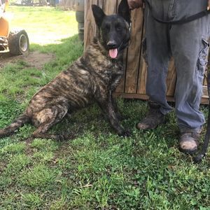 Meet your Posher, Thomas